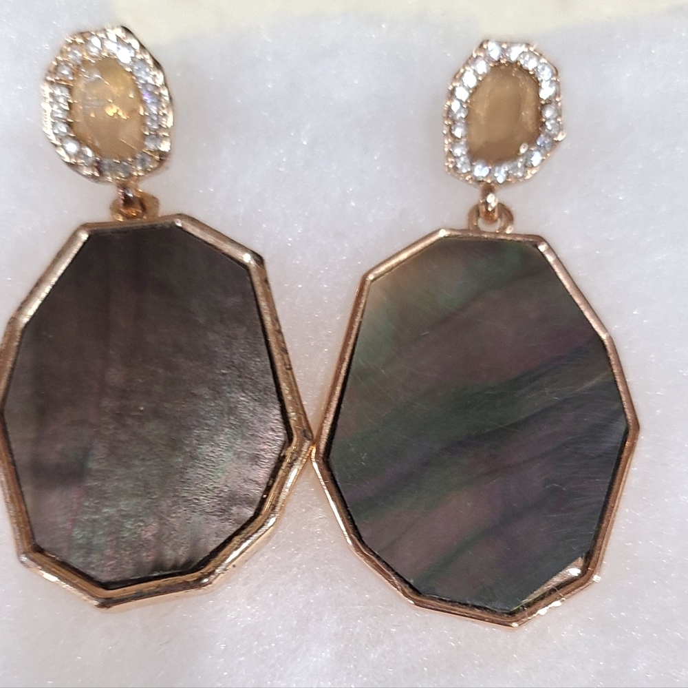Fashionable Women Earring NWOT